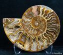 Inch Split Ammonite Pair #2628-3